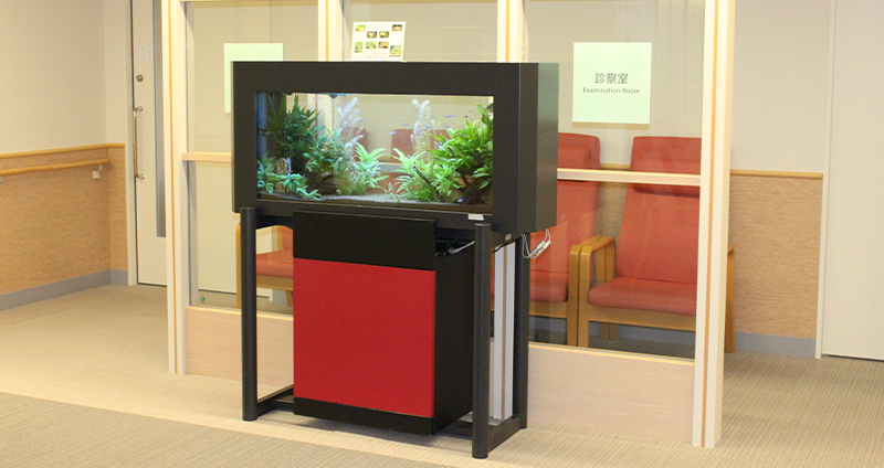 NTT東日本かんん当病院の水槽